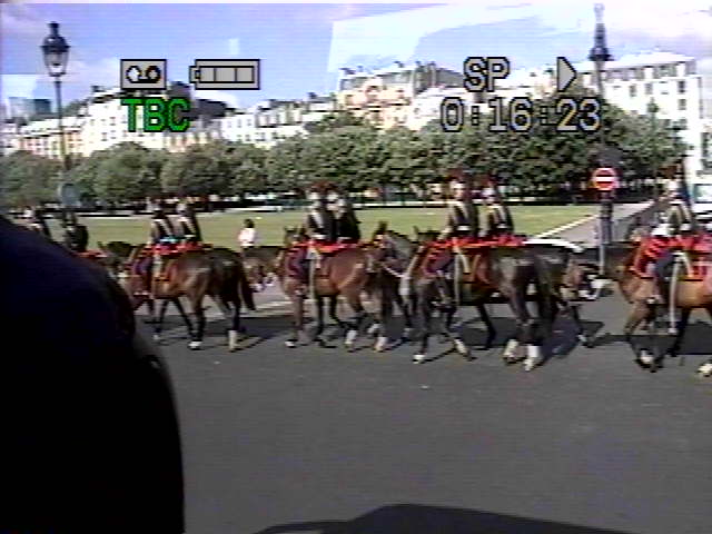 palace guard